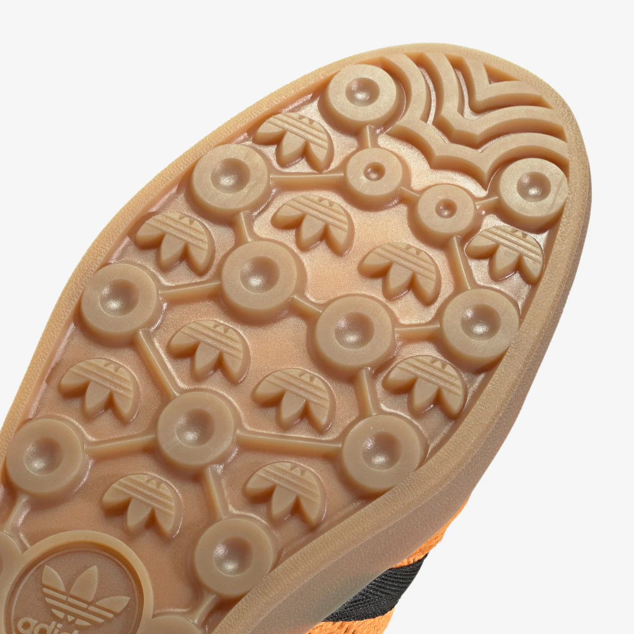 Gazelle Indoor - Image 5