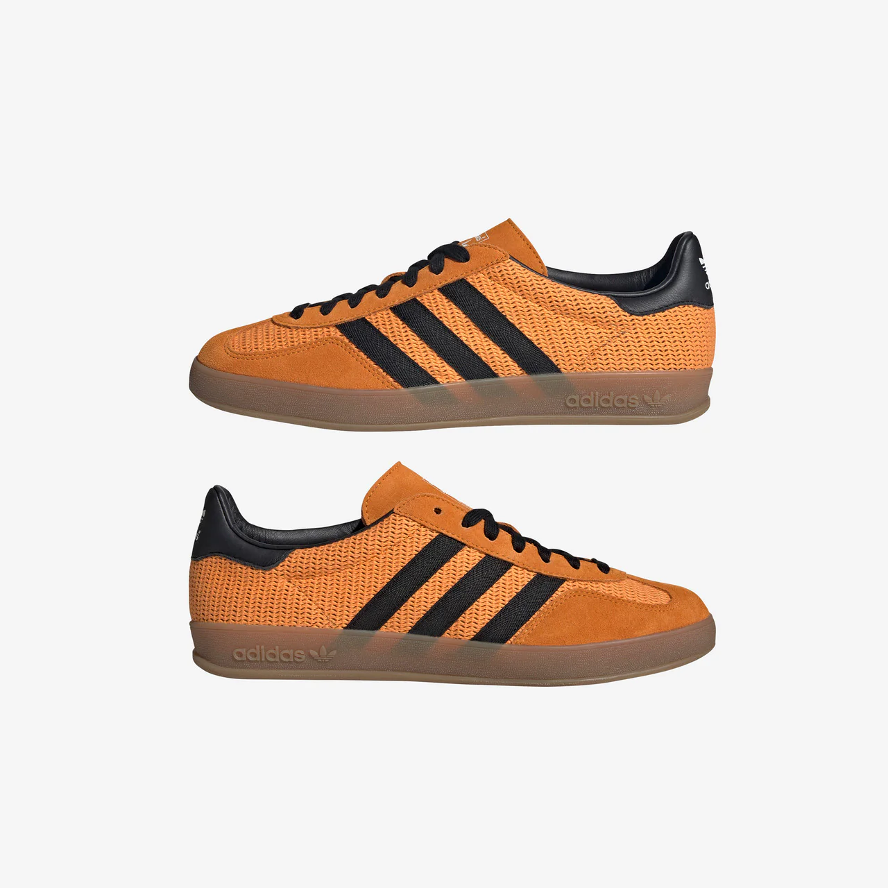 Gazelle Indoor - Image 9