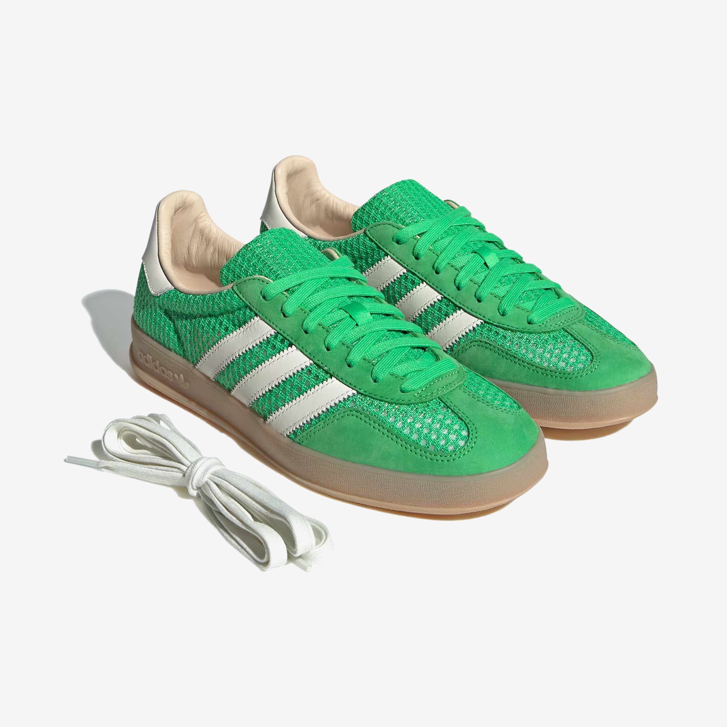 Gazelle Indoor - Image 9