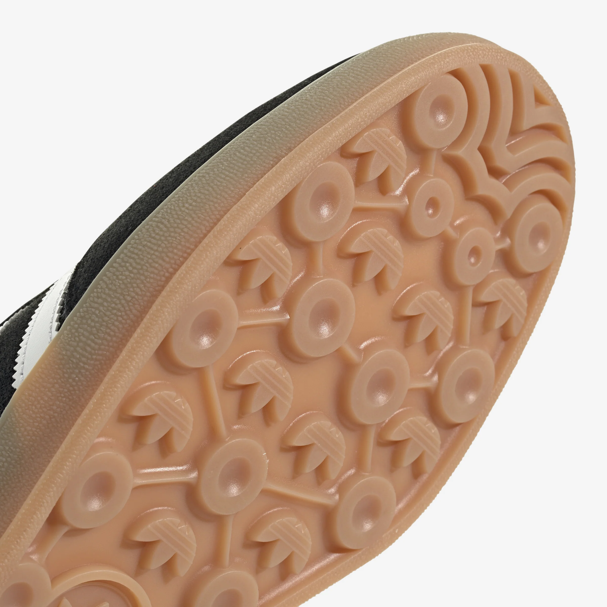 Gazelle Indoor - Image 6