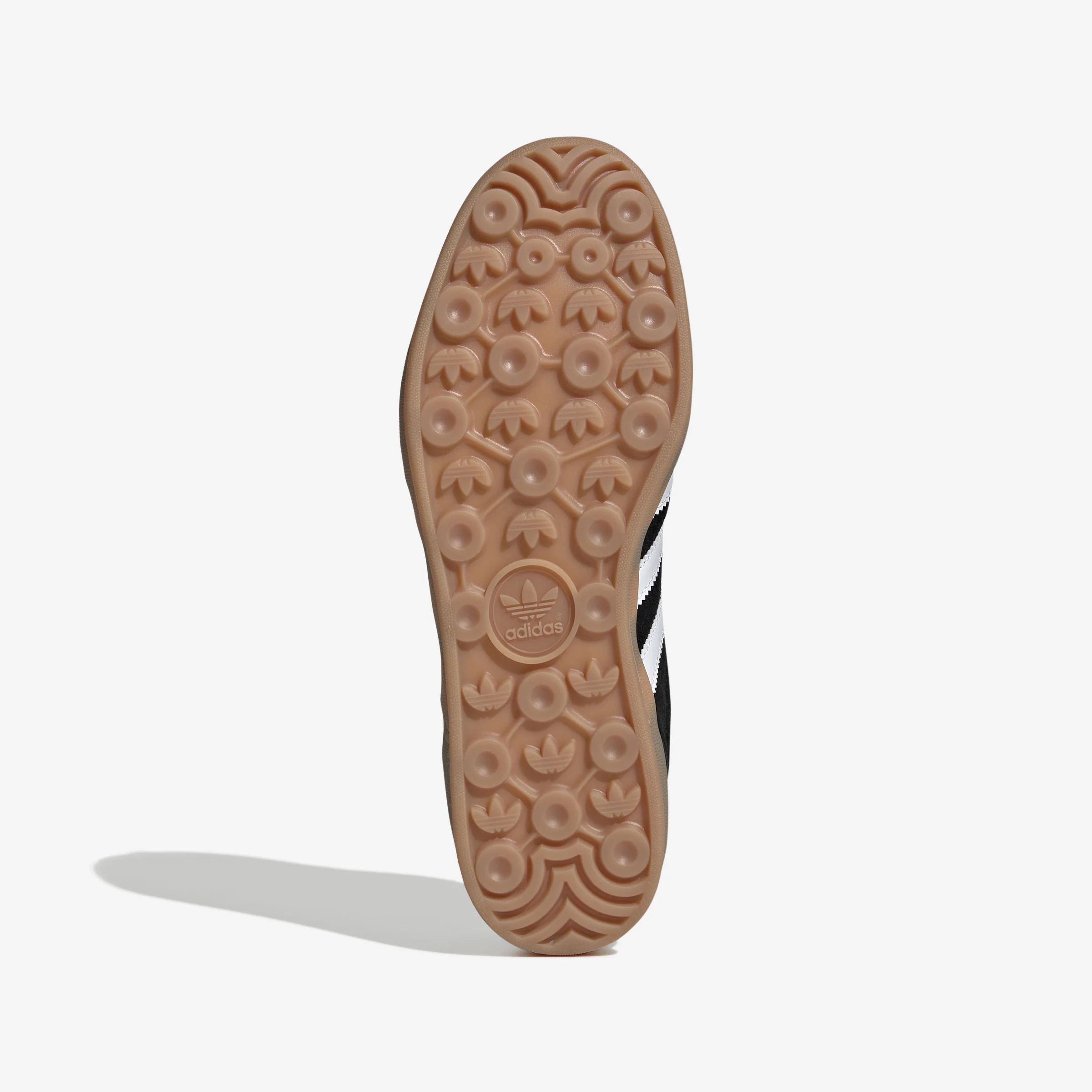 Gazelle Indoor - Image 8