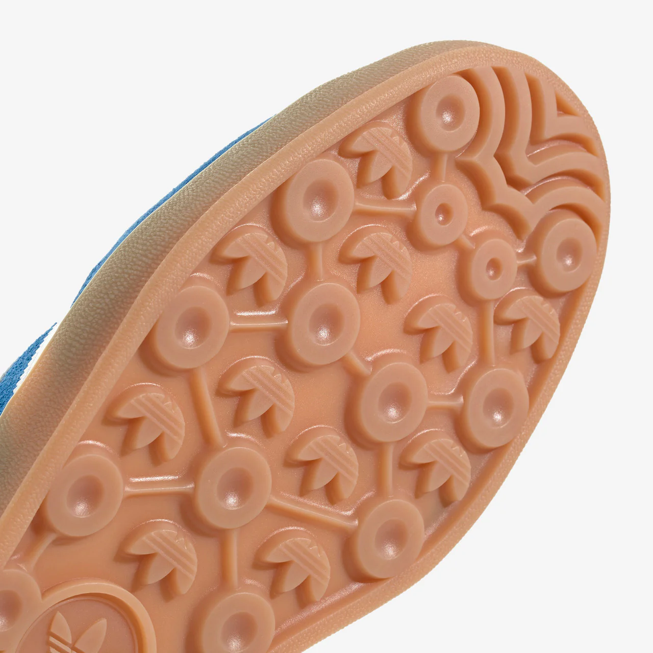 Gazelle Indoor - Image 7