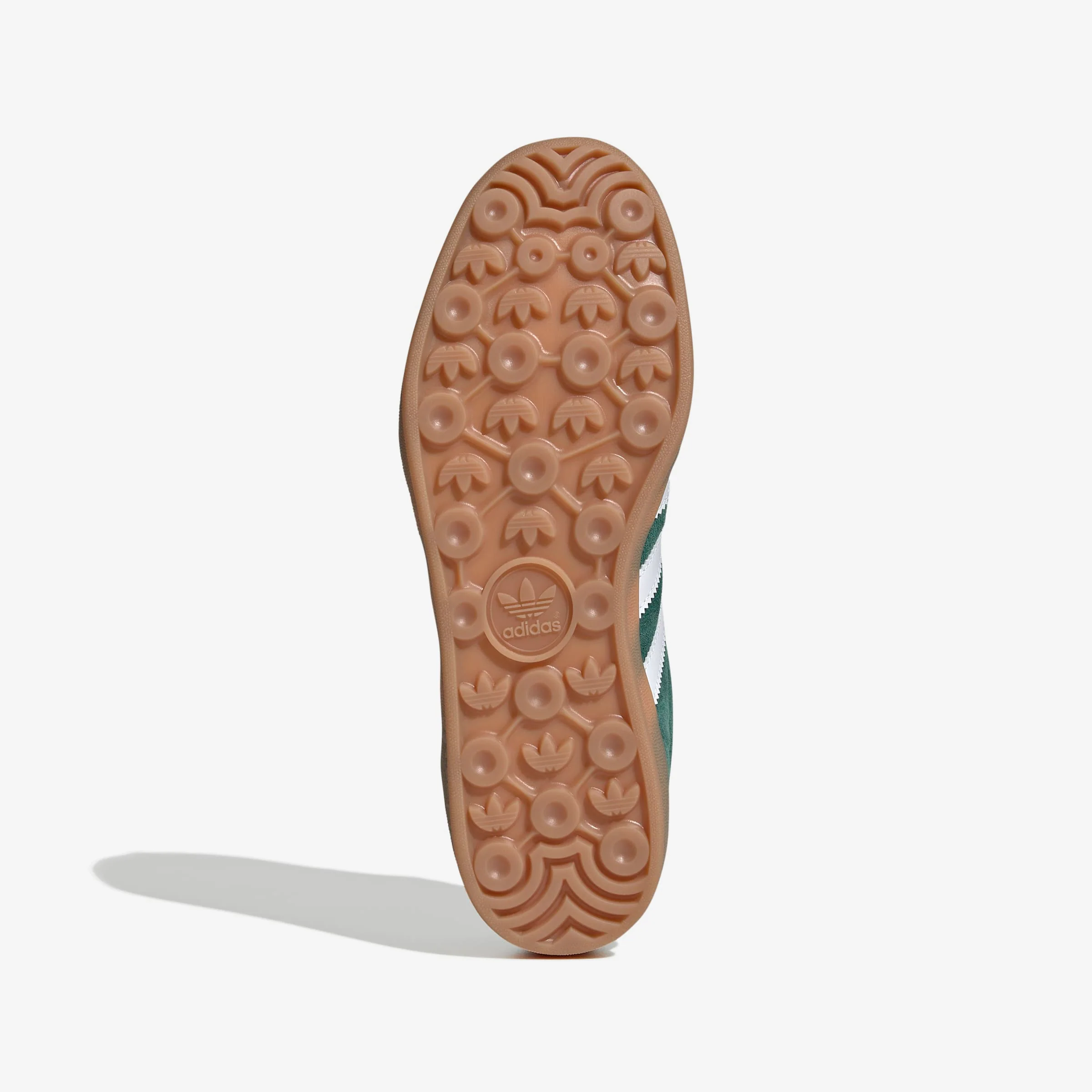 Gazelle Indoor - Image 6