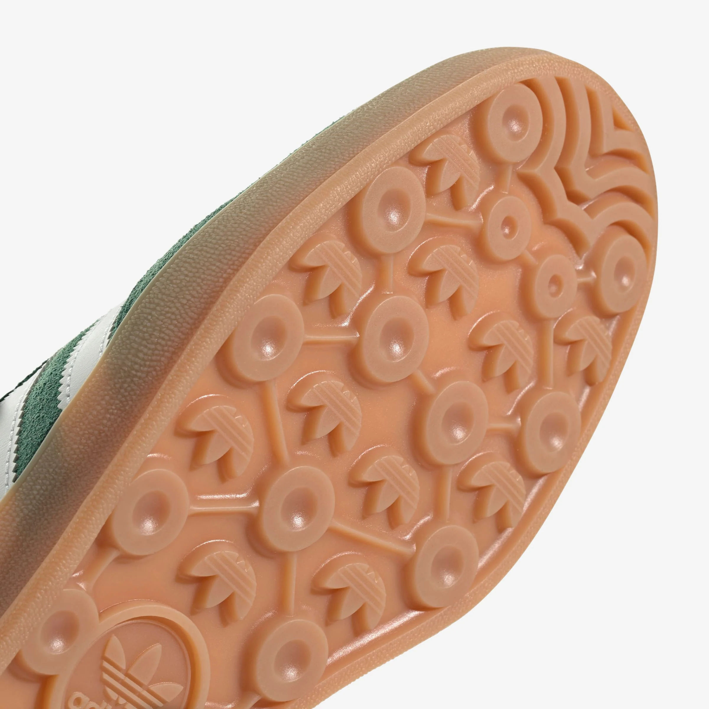 Gazelle Indoor - Image 8