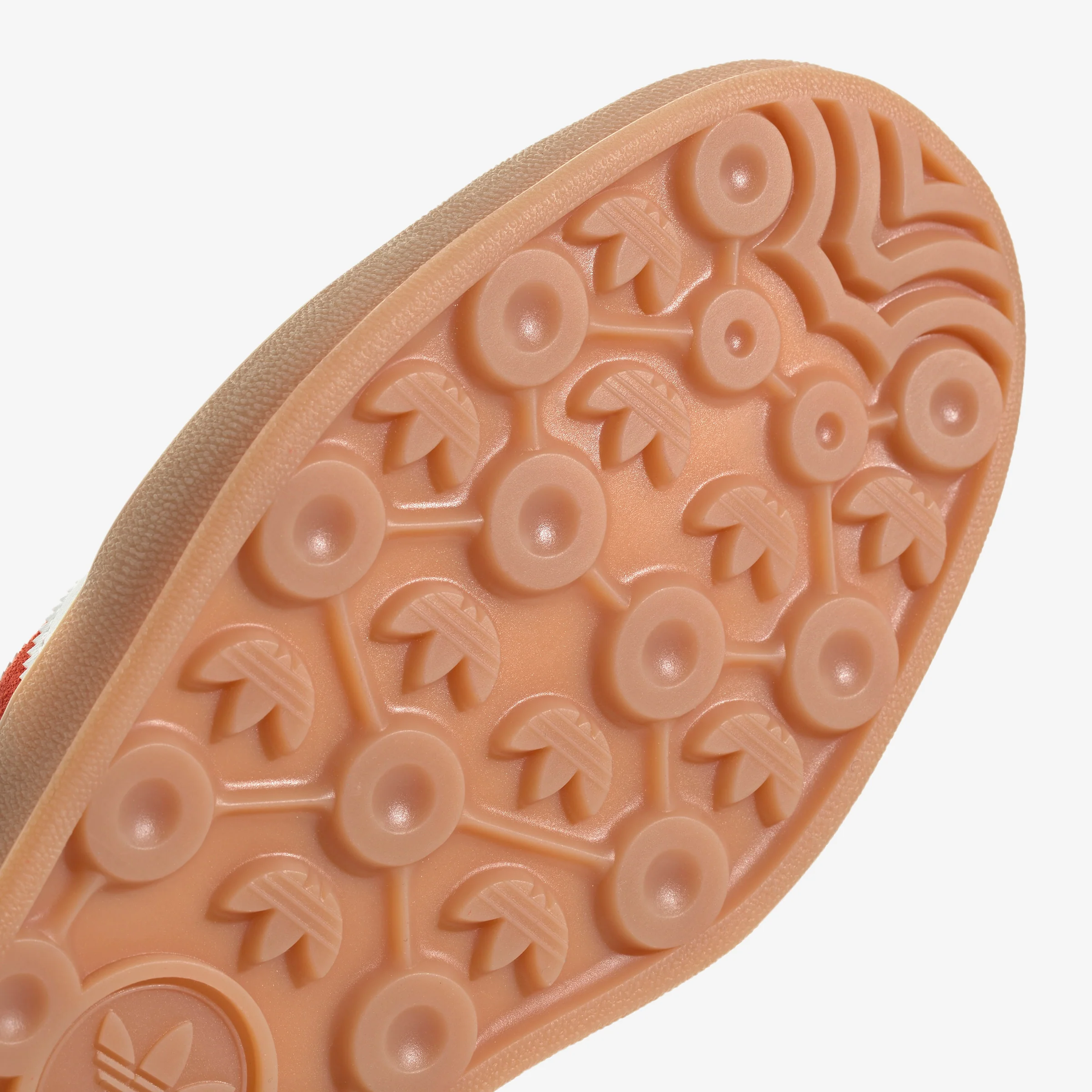 Gazelle Indoor - Image 7