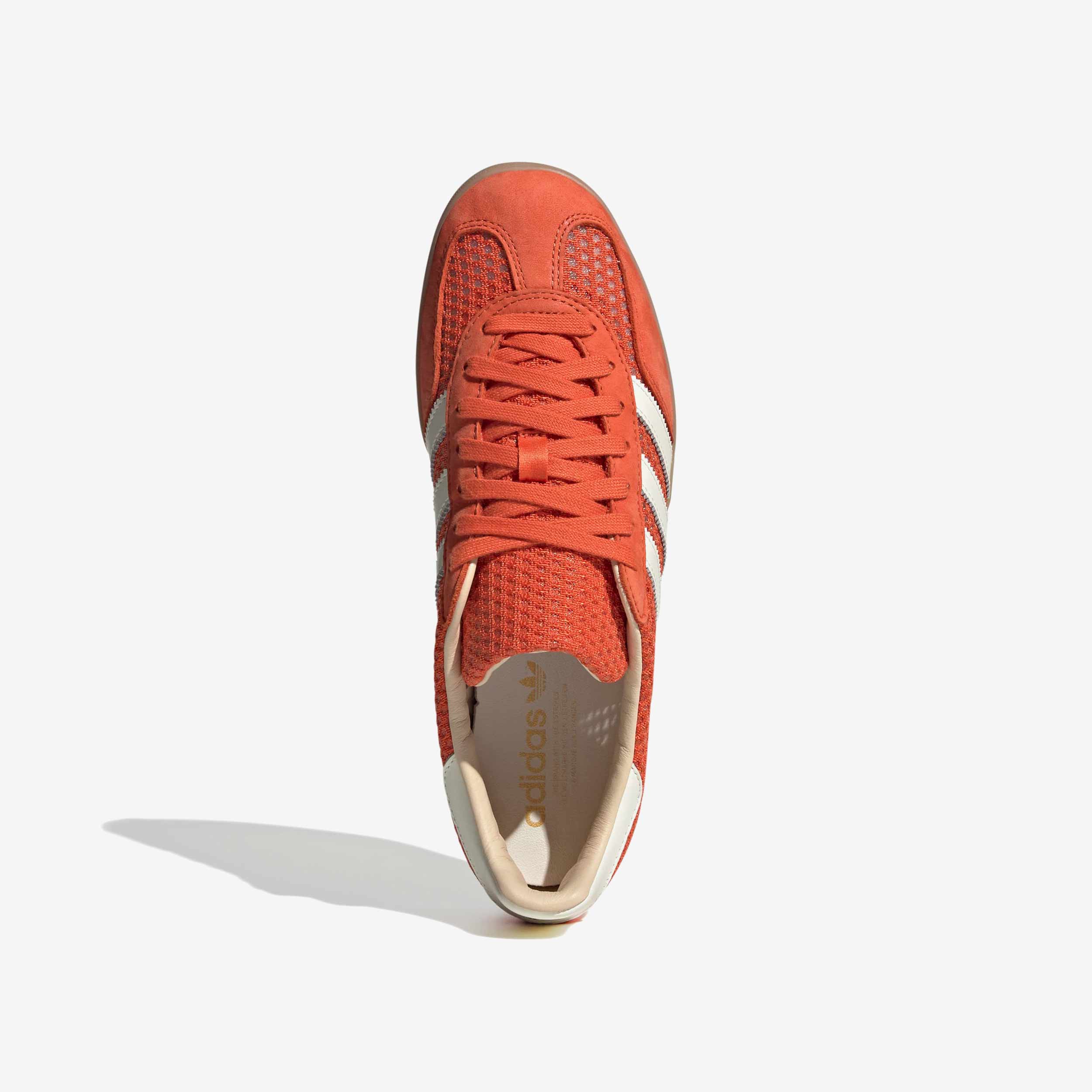 Gazelle Indoor - Image 7