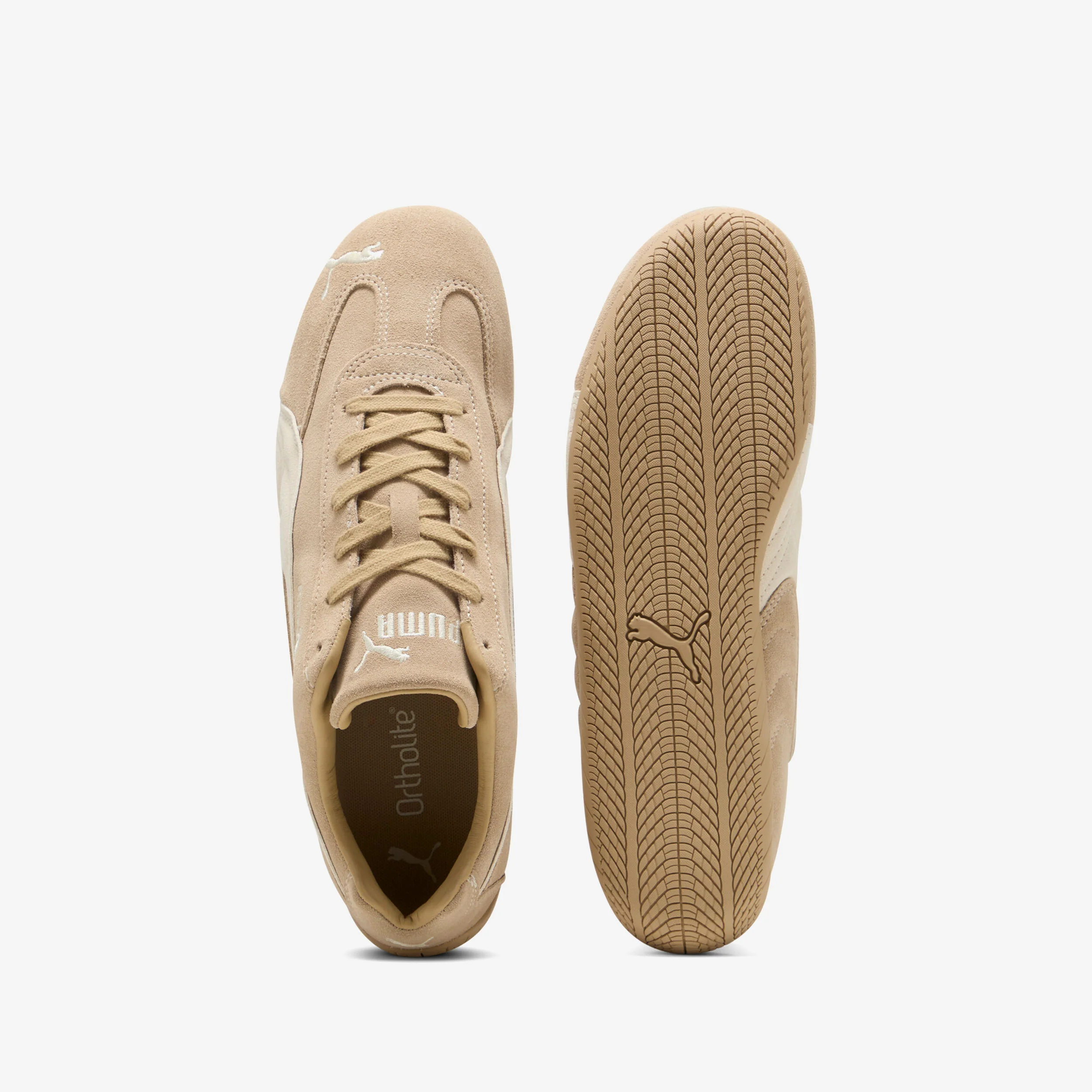 Speedcat TTF - Image 5